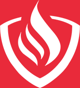 Fire Management Solutions Logo Device